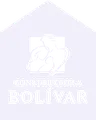 Constructora Bolívar